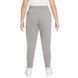 Брюки для девочек Nike Sportswear Fleece Pant LBR G &mdash; карбоновый вереск/белый ST79655 фото 2