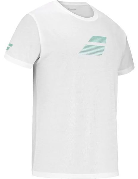 Мужская футболка Babolat Performance Big Flag ST102454 фото