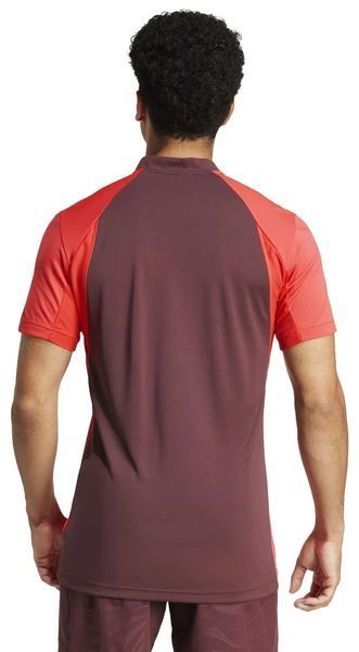 Мужская футболка-поло Adidas Tennis Pro Climacool FreeLift ST102792 фото