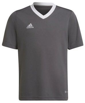 Трикотаж Adidas Kids Entrada 22 для хлопчика ST99307 фото