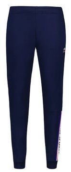 Брюки для мальчика Le Coq Sportif TRI Pant Slim N&deg;1 SS23 - синий цвет ST90609 фото