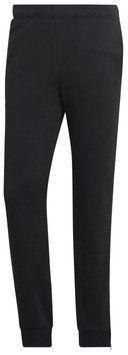 Мужские брюки Adidas Category Graphic Pant M ST81909 фото
