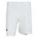 Мужские шорты Adidas Tennis Climacool Short & Tight Set - белые ST111283 фото 1