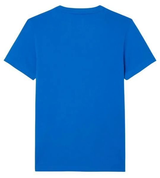 Мужская футболка Lacoste Tennis x Novak Djokovic Pack ST102311 фото