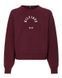 Женская толстовка Tommy Hilfiger RLX Sueded Modal C NK - румяная замша ST87884 фото 1