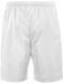 Чоловічі тенісні шорти Lacoste SPORT ST69652 фото 2