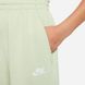 Штани для дівчат Nike Sportswear Club Fleece ST93591 фото 3