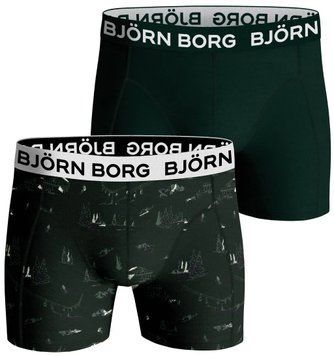 Шорти боксери для хлопчика Bj&ouml;rn Borg Core B 2P - зелені/принт ST80579 фото