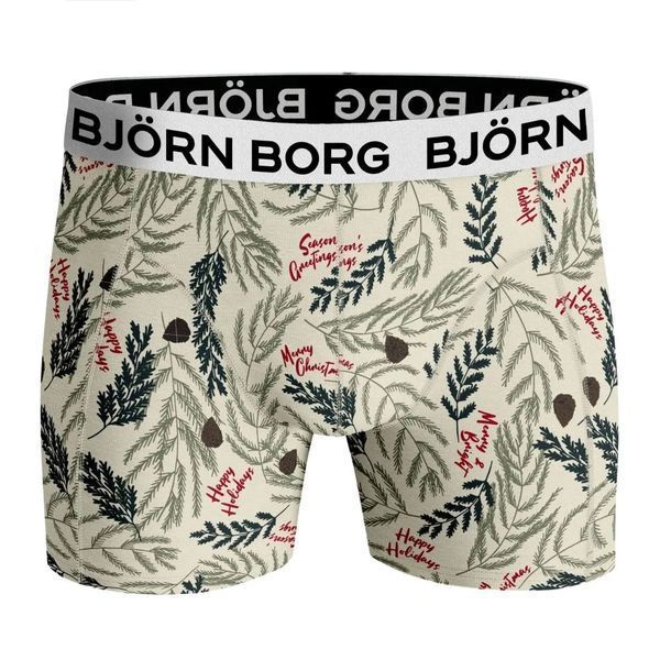 Мужские боксеры Bj&ouml;rn Borg Core Boxer 2P ST80589 фото